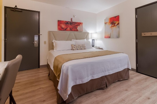 Kawada Hotel image 4